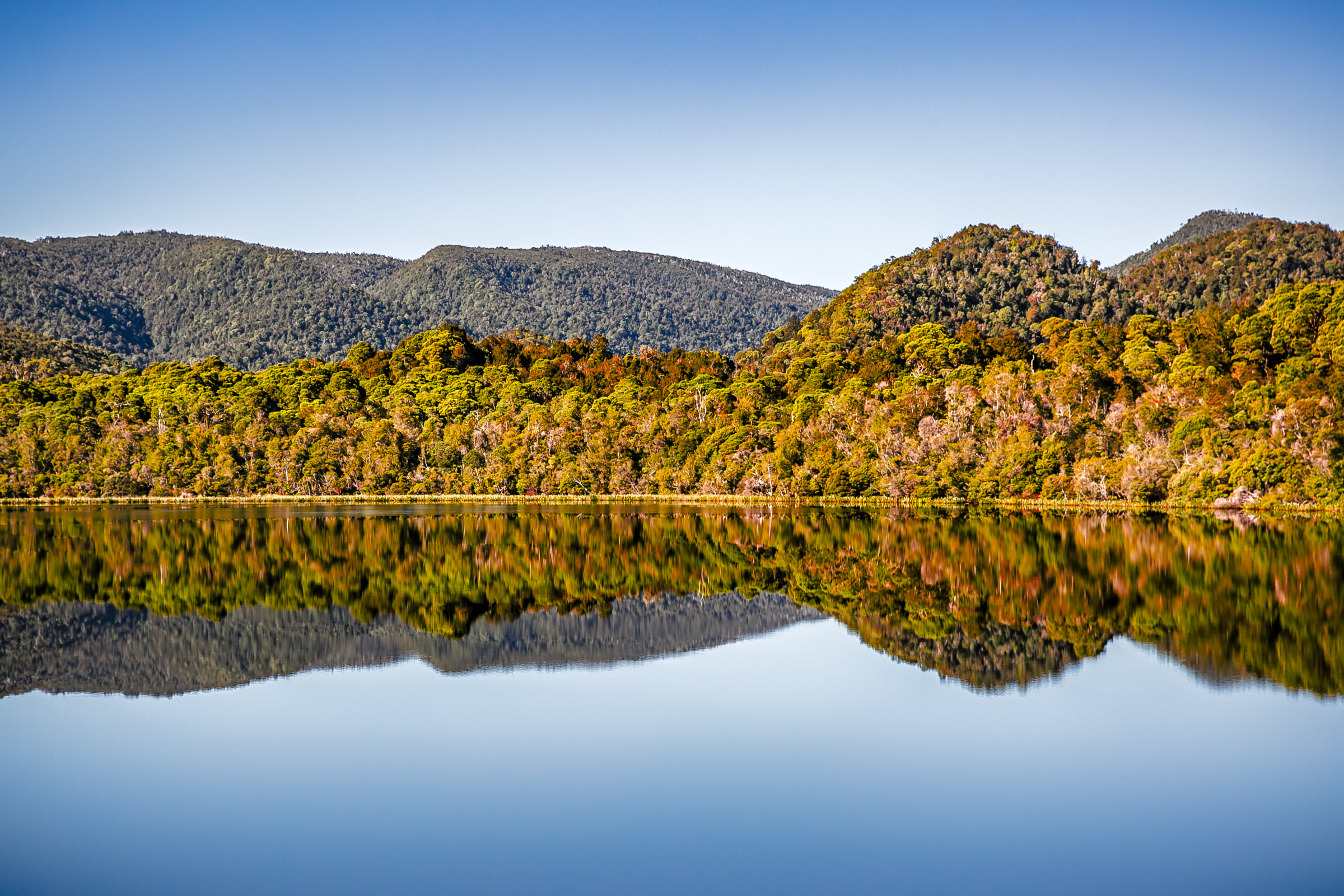 Reflections Preserved